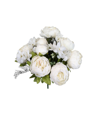 Bridal White Mixed Peony Bush