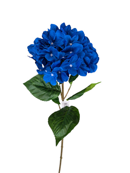 Blue Hydrangea Stem