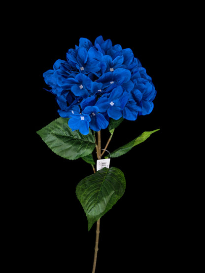 Blue Hydrangea Stem