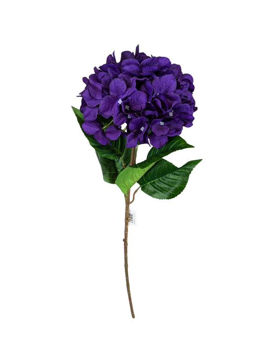 Purple Hydrangea Stem