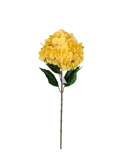 Yellow Hydrangea Stem