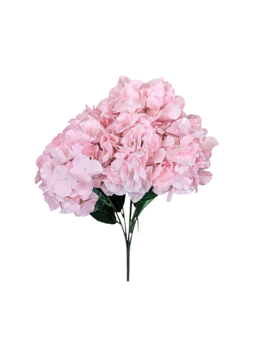 Hydrangea Bush LT/PK