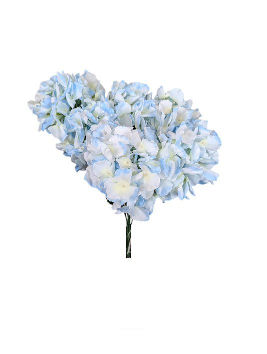 Hydrangea Bush XL  LT/BL