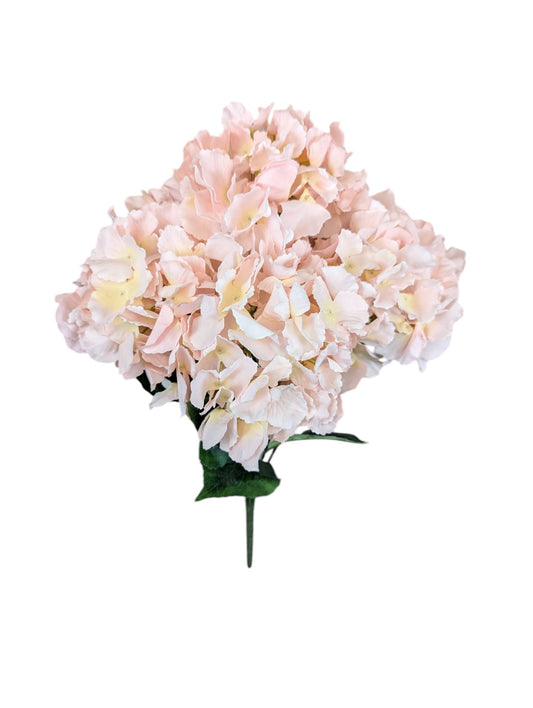 Hydrangea Bush XL Soft/PK