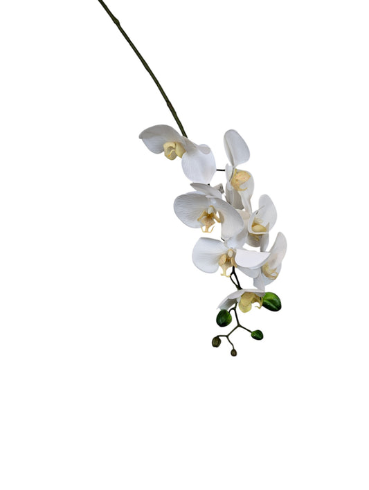 Q723-WH Phalaenopsis Spray 28.5 inches